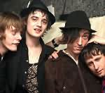 Babyshambles станут героями книги