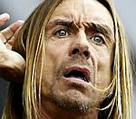 Iggy Pop Insurance Advert 'Misleads Viewers'