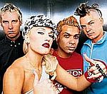 No Doubt Have No Plans To Release New Album In 2009